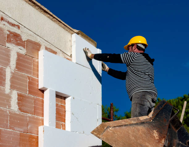 Best Insulation Contractors for Homes  in Willards, MD