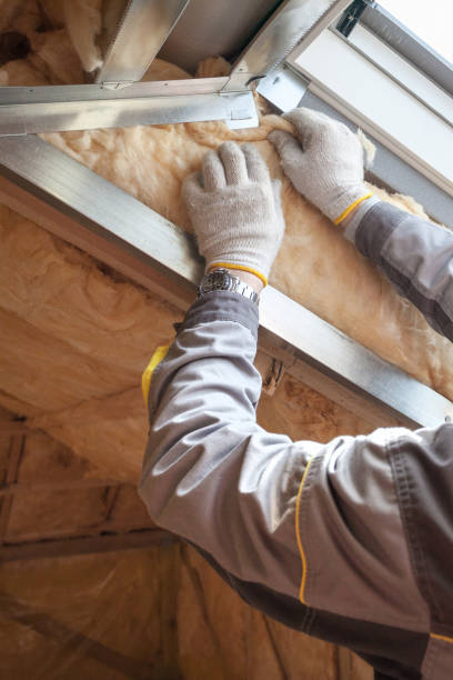 Insulation Replacement Services in Willards, MD