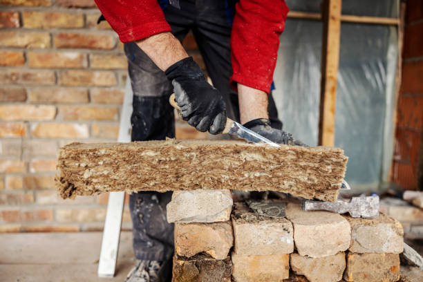 Best Wall Insulation Contractor  in Willards, MD