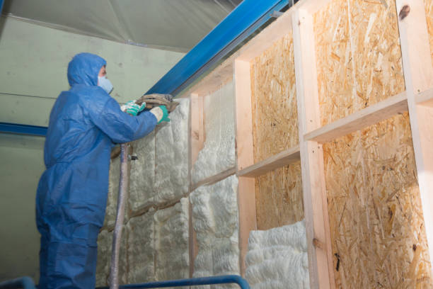 Best Insulation Replacement Services  in Willards, MD