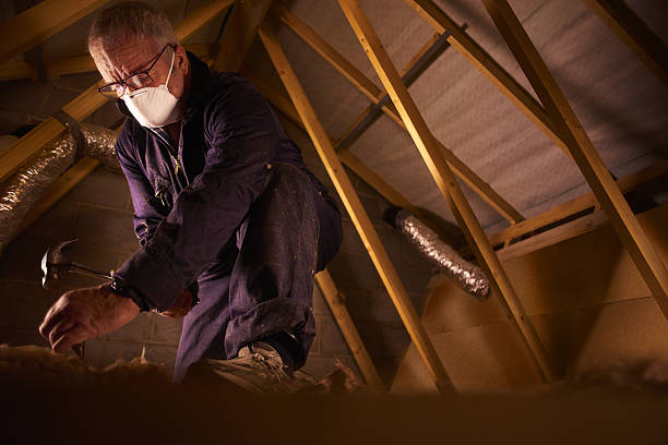 Insulation for New Construction in Willards, MD