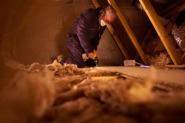 Best Blown-in Insulation  in Willards, MD